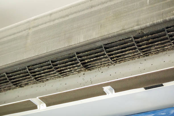 Best Ductwork Cleaning Services  in Cool Valley, MO